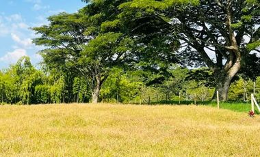 LOTE EN VENTA VIA QUIMBAYA / QUINDIO