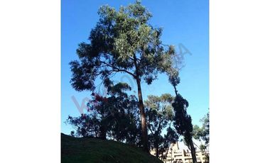 ARRIENDO AMOBLADA - CASA EN CONJUNTO CERRADO BOGOTÁ