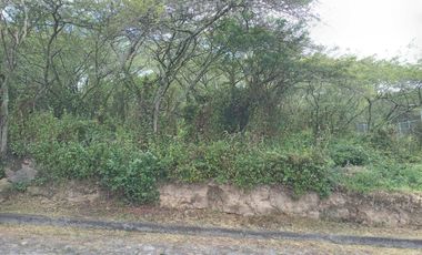 TerrenVive en La Viña Alta – Terreno Residencial en Urbanización Privada | Tumbacoo