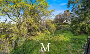 Casa quinta estilo Tudor Ingles Mansion con pileta, gimnasio, jardin y vista al rio 6 dormitorios