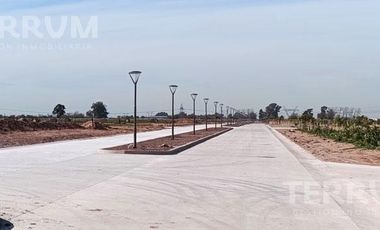 LOTES EN VENTA ST. THOMAS CHICO