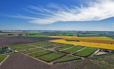 Terreno Lote 332 m2 - Los Pinos 3 - Álvarez Santa Fe | Venta