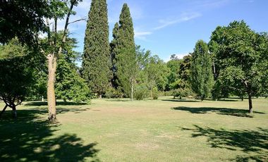 casa quinta en Mashwitz Los Naranjos 9775m2 de lote casa principal, pileta