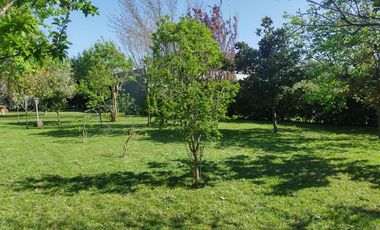 Casa en  venta City Bell 2 dormitorios   casa huéspedes 1 dormitorio lote 2500 m2