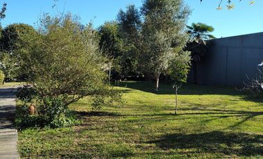 Casa en  venta City Bell 2 dormitorios   casa huéspedes 1 dormitorio lote 2500 m2