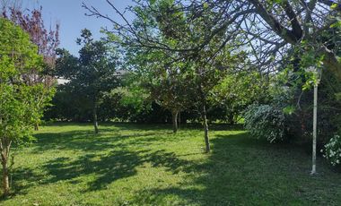 Casa en  venta City Bell 2 dormitorios   casa huéspedes 1 dormitorio lote 2500 m2