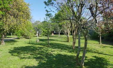 Casa en  venta City Bell 2 dormitorios   casa huéspedes 1 dormitorio lote 2500 m2