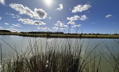 Lote en Venta, El Golf Nordelta