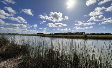 Lote en Venta, El Golf Nordelta