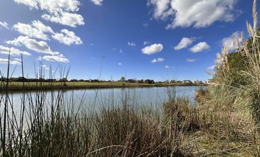 Lote en Venta, El Golf Nordelta