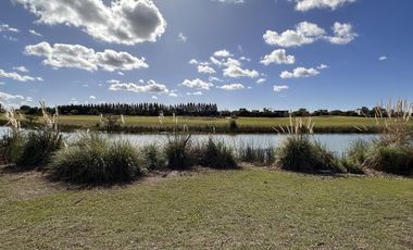 Lote en Venta, El Golf Nordelta