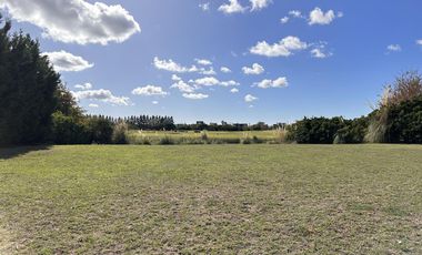 Lote en Venta, El Golf Nordelta