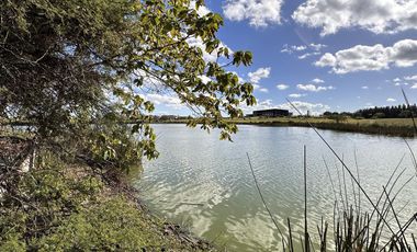 Lote en Venta, El Golf Nordelta