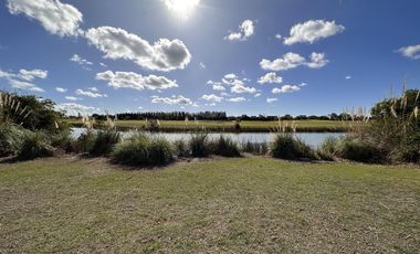 Lote en Venta, El Golf Nordelta