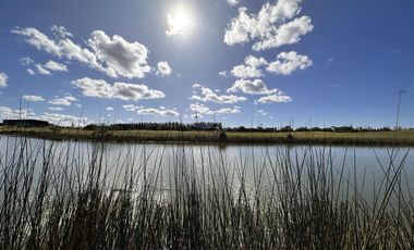 Lote en Venta, El Golf Nordelta