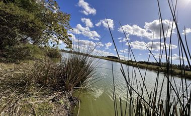Lote en Venta, El Golf Nordelta