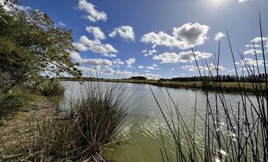 Lote en Venta, El Golf Nordelta