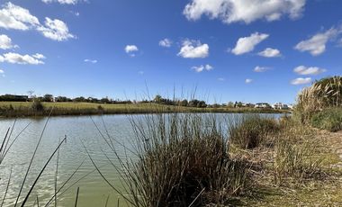 Lote en Venta, El Golf Nordelta