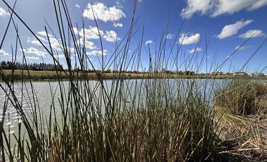 Lote en Venta, El Golf Nordelta