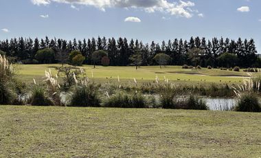 Lote en Venta, El Golf Nordelta