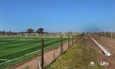 EcoPueblo Alvear - Todos los servicios - 10' de Rosario