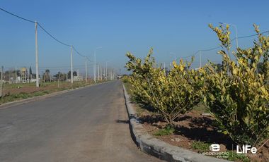 EcoPueblo Alvear - Todos los servicios - 10' de Rosario