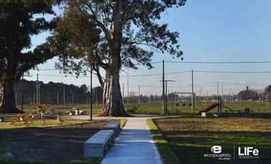 EcoPueblo Alvear - Todos los servicios - Terreno Comercial sobre avenida