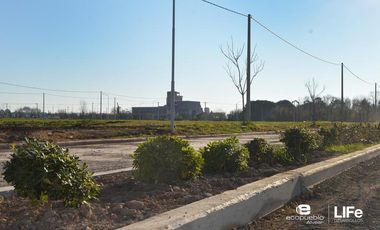EcoPueblo Alvear - Todos los servicios - Terreno Comercial sobre avenida