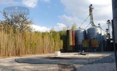 Fondo de Comercio en  FABRICA DE ALIMENTO BALANCEADO
