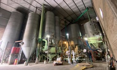 Fondo de Comercio en  FABRICA DE ALIMENTO BALANCEADO