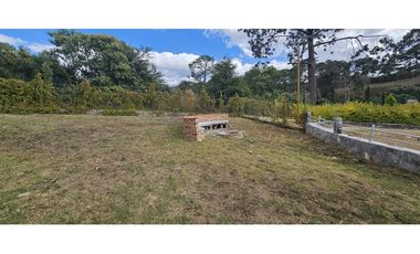 Bonita cabaña nueva en venta en zona de bosque de mazamitla jalisco