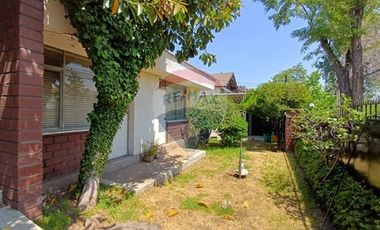 Diego de Almagro / Amapolas