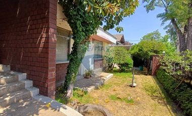 Diego de Almagro / Amapolas