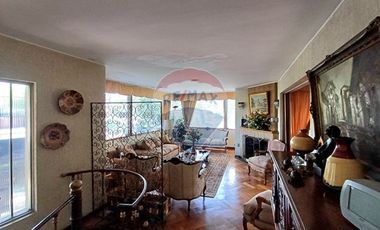 Diego de Almagro / Amapolas