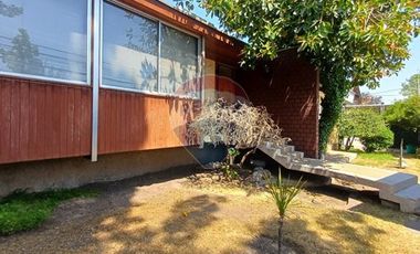 Diego de Almagro / Amapolas