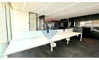 ESPECTACULAR OFICINA EN EL CORAZON DE LA DEHESA