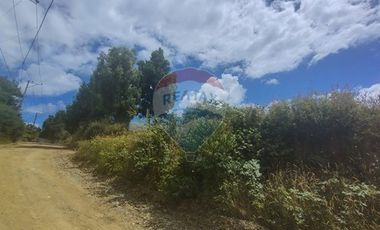 Gran parcela con tres casas en Valdivia.