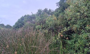 VENTA PARCELA 5000 m, PUQUELDON, ISLA LEMUY