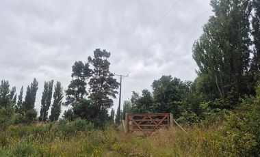 VENTA PARCELA 5000 m, PUQUELDON, ISLA LEMUY