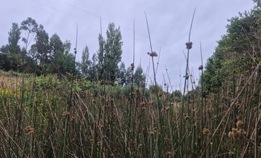 VENTA PARCELA 5000 m, PUQUELDON, ISLA LEMUY