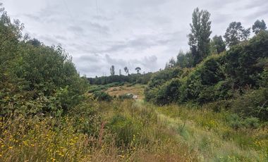 VENTA PARCELA 5000 m, PUQUELDON, ISLA LEMUY