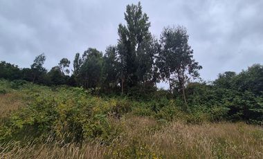 VENTA PARCELA 5000 m, PUQUELDON, ISLA LEMUY