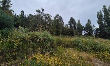 VENTA PARCELA 5000 m, PUQUELDON, ISLA LEMUY