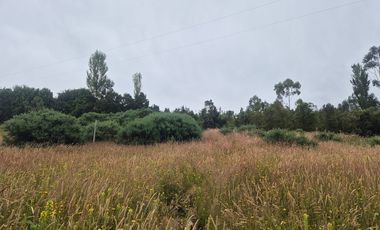 VENTA PARCELA 5000 m, PUQUELDON, ISLA LEMUY