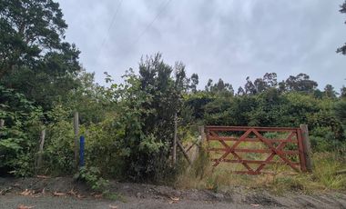 VENTA PARCELA 5000 m, PUQUELDON, ISLA LEMUY