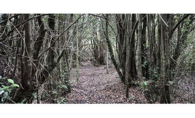 VENTA PARCELA 5000 m, PUQUELDON, ISLA LEMUY