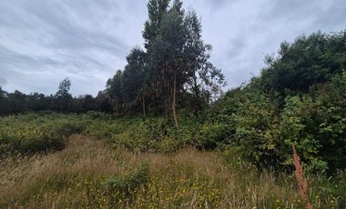 VENTA PARCELA 5000 m, PUQUELDON, ISLA LEMUY