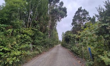 VENTA PARCELA 5000 m, PUQUELDON, ISLA LEMUY