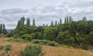 VENTA PARCELA 5000 m, PUQUELDON, ISLA LEMUY