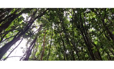 VENTA PARCELA 5000 m, PUQUELDON, ISLA LEMUY